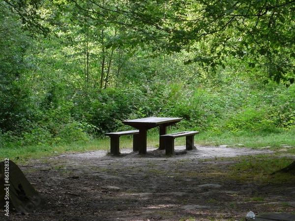 Fototapeta picnic area