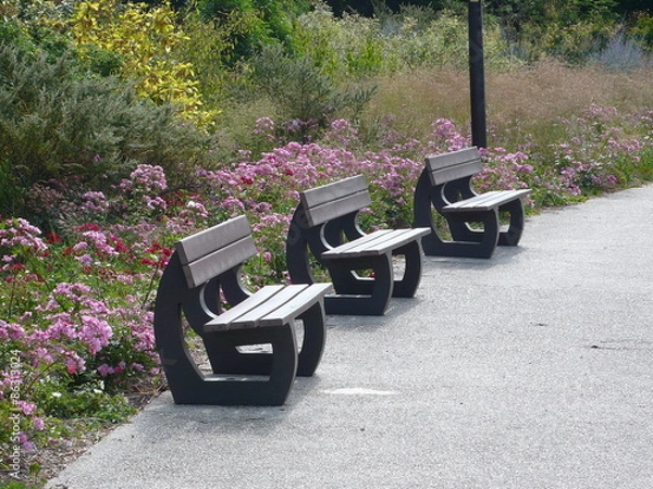Obraz bench