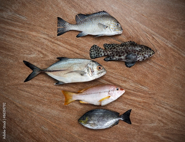 Obraz Fresh fish assortment