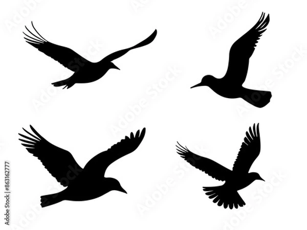 Fototapeta set of flying bird silhouette illustration