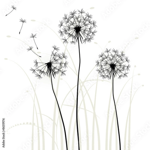 Fototapeta Abstract background with dandelions