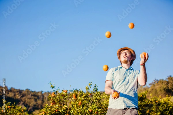 Fototapeta Cheerful young man juggling oranges on citrus farm