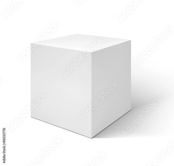Obraz Vector White box  isolated on white background