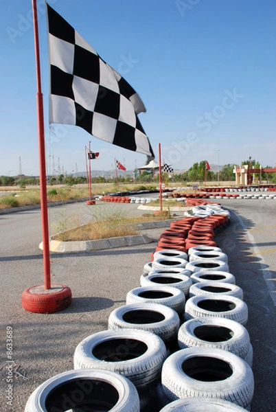 Obraz go kart race