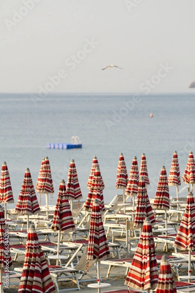 Obraz Summer is finishing