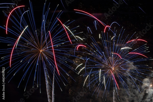 Obraz Fireworks in the night sky