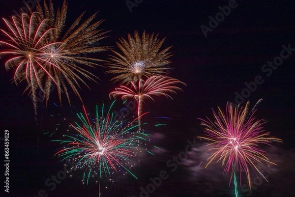 Obraz Fireworks in the night sky