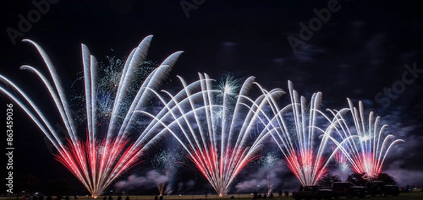 Obraz Fireworks in the night sky