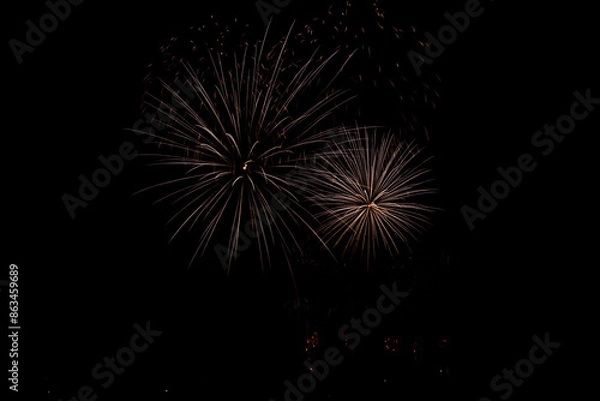 Obraz Fireworks in the night sky