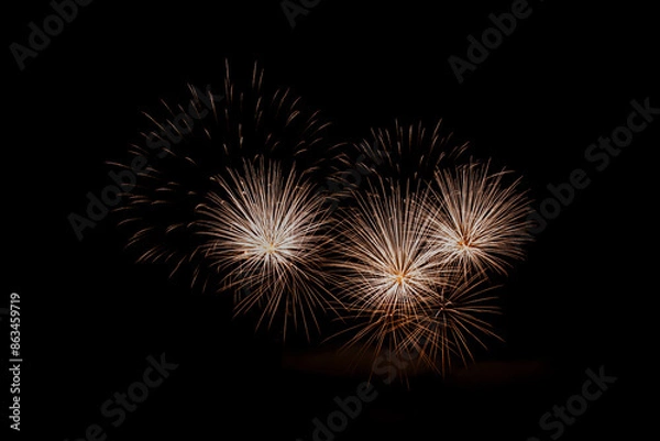 Obraz Fireworks in the night sky