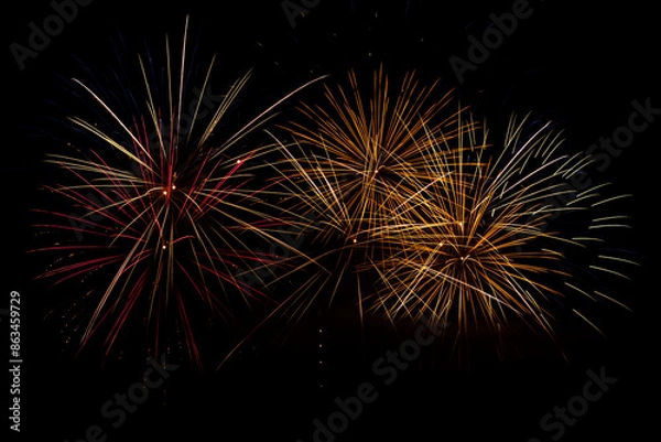 Obraz Fireworks in the night sky