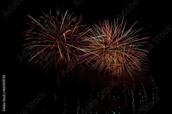 Obraz Fireworks in the night sky