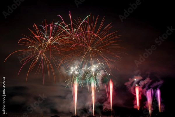 Obraz Fireworks in the night sky