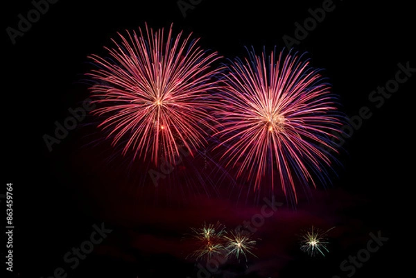 Obraz Fireworks in the night sky