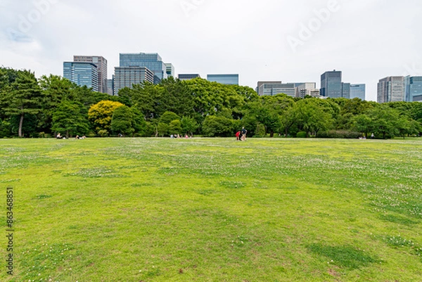 Fototapeta 将軍徳川家康江戸城本丸趾