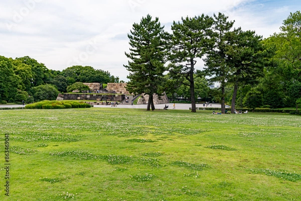Fototapeta 将軍徳川家康江戸城本丸趾