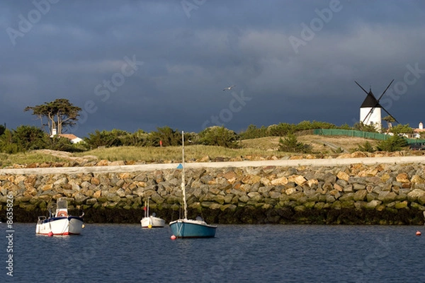 Obraz moulin du port