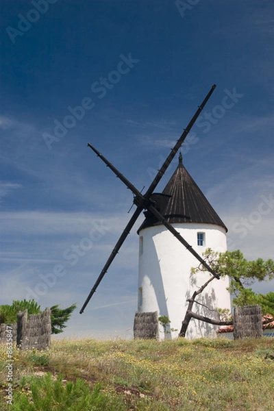 Obraz moulin