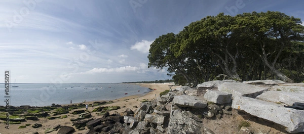 Obraz noirmoutier