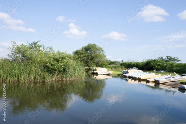 Fototapeta 午後の湖岸