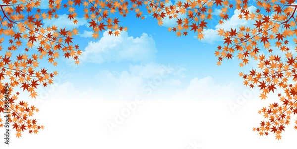 Fototapeta もみじ　紅葉　背景