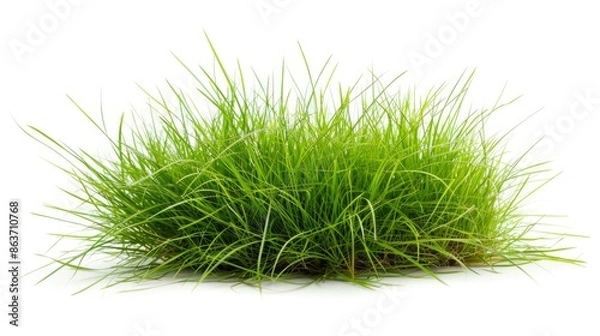 Fototapeta Grass isolated on white background. Illustration generatd by ai