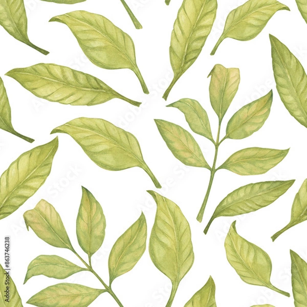 Fototapeta Seamless pattern with leaves watercolor illustration floating in the air composition. Botanical drawing sketch stylized. Hand drawn, suitable for food packaging design