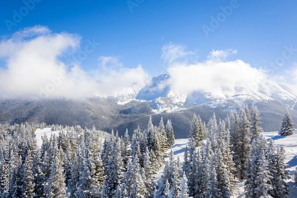Fototapeta Snowy Winter Alpine Landscape with Snow-Covered Trees