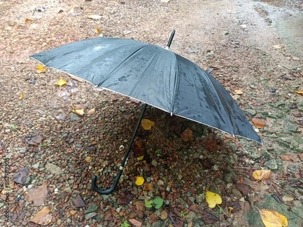 Fototapeta An umbrella or parasol is a folding canopy supported by wooden or metal ribs that is mounted on a wooden, metal, or plastic pole.
