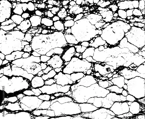 Fototapeta Black and White Marble Stone Vector Texture