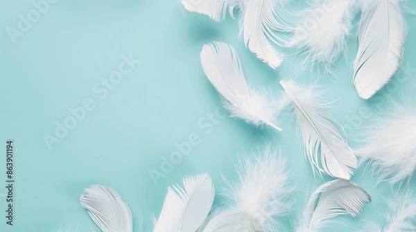 Fototapeta white feathers on blue background