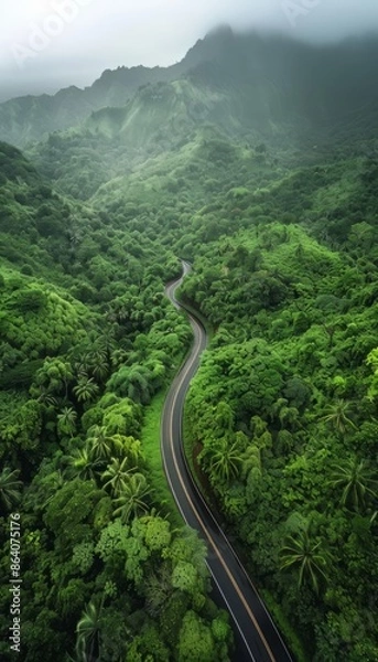 Fototapeta Asphalt road winding between the green hills of beautiful rain forest area captured from the air