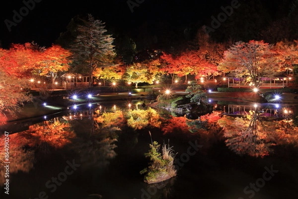 Obraz 静岡県 伊豆 修善寺虹の郷もみじライトアップ