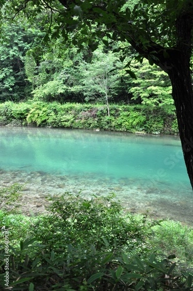 Obraz 清流付知川