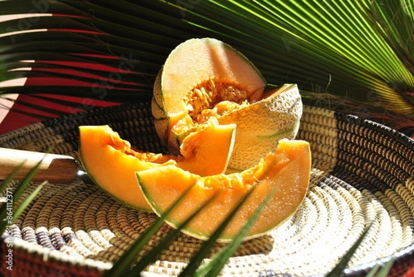 Obraz orange melon on a green background