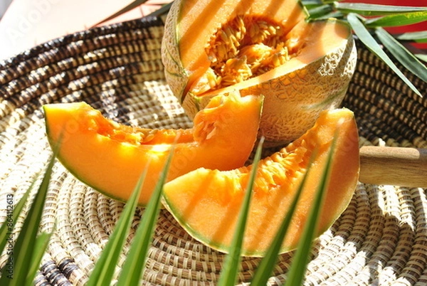 Obraz orange melon on a green background