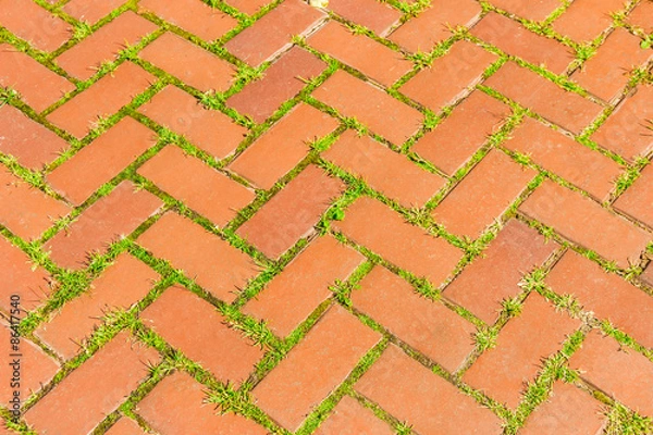 Fototapeta Red brick walkway