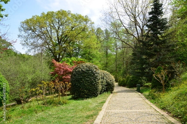 Fototapeta landscape with trees