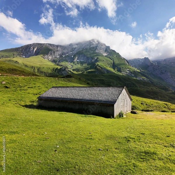 Obraz Abris de montagne