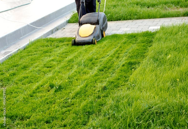 Obraz man with a lawn mower