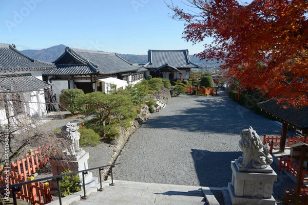Obraz 秋の建勲神社　境内　京都市北区紫野