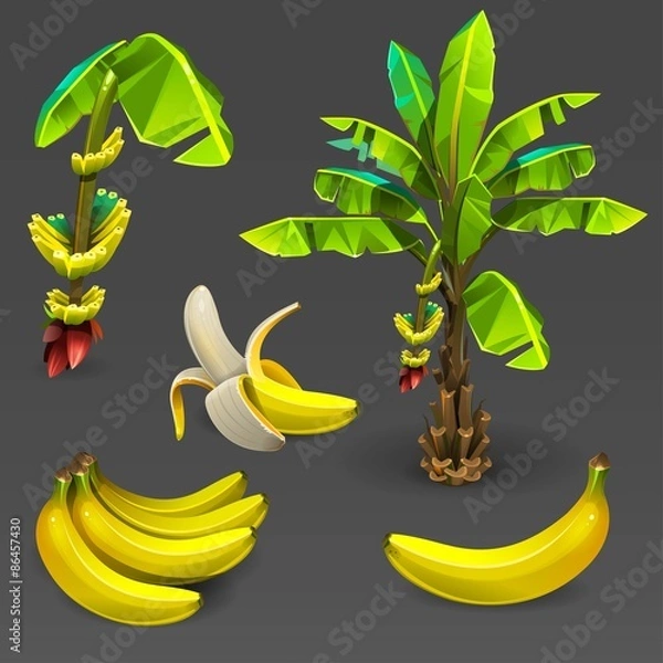 Obraz Banana set 2
