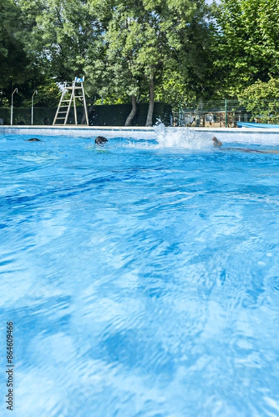 Obraz Public pools are very popular in summer and usually have greater security and maintenance controls