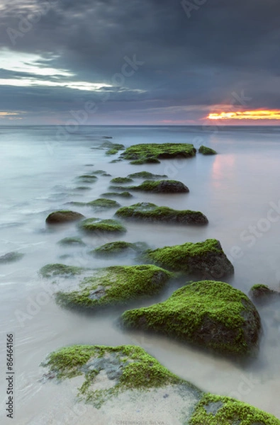 Obraz The pebble beach