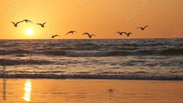Fototapeta flock of seagulls flying over the ocean at sunset on a sandy beach