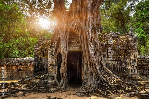 Fototapeta Jestem wpisem