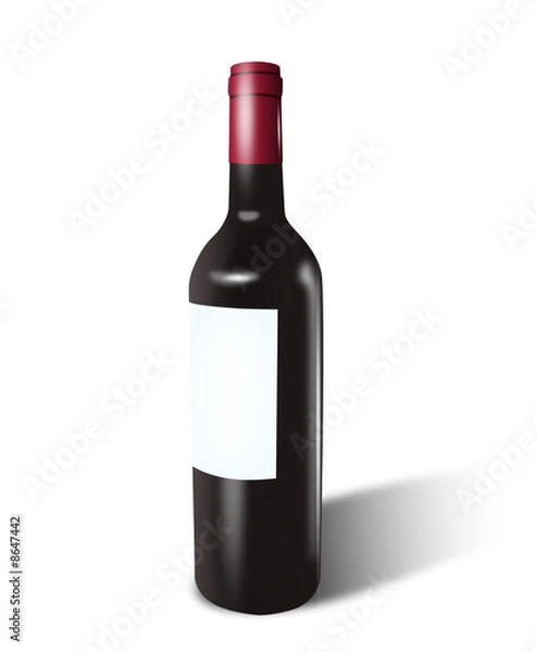 Obraz Bouteille de vin