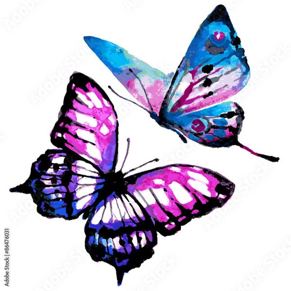 Obraz projekt motyli
