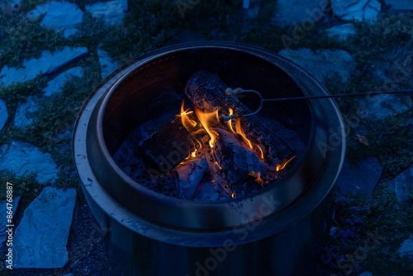 Fototapeta Melted Marshmallow on stick in fire pit at night 