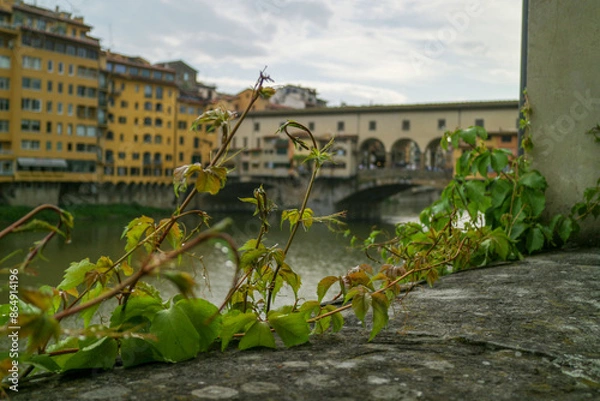 Fototapeta old bridge